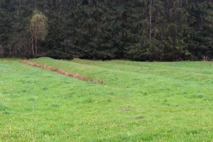Relikte von Rückenwiesen im Fellatal zwischen Fellen und Rengersbrunn